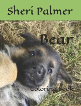 Paperback Bear: Coloring Book