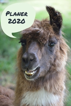 Planer 2020: Terminplaner Monatsplaner und Wochenplaner Organizer Lama