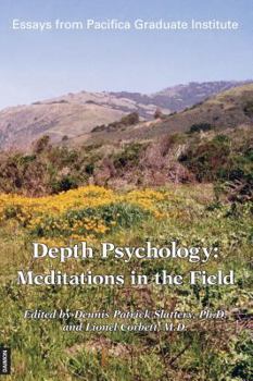 Paperback Depth Psychology: Meditations in the Field Book