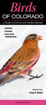 Pamphlet Birds of Colorado: A Guide to Common and Notable Species Book