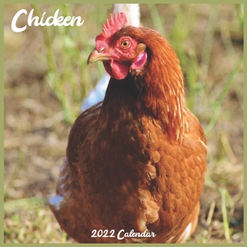 Chicken 2022 Calendar: Official Farm Animals Calendar 2022