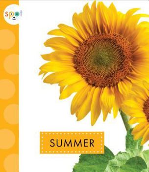 Library Binding Summer Book