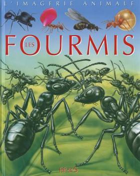 Paperback Fourmis - Imagerie Animale Book