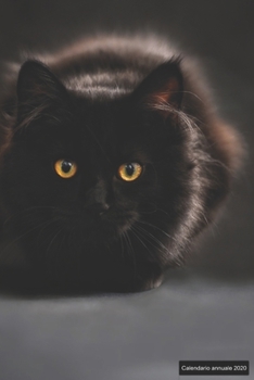 Calendario annuale 2020: ♦ Manuale dell'organizzatore pratico per il 2020 ♦ Anteprima di 12 mesi ♦ 52 pianificatore settimanale con compiti e obiettivi ♦ formato 6x9 ♦ motif: schwarze Katze