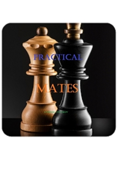 Paperback Practical mates Book