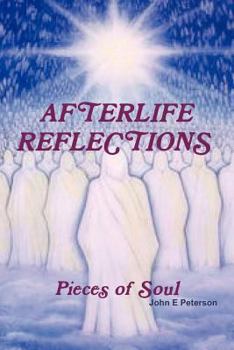 Paperback Afterlife Reflections Book