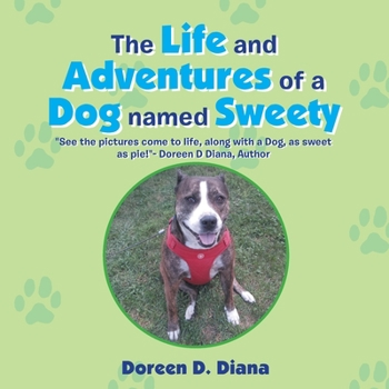 Paperback The Life and Adventures of a Dog Named Sweety Book