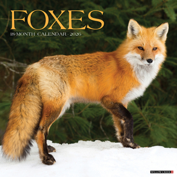Calendar Foxes 2026 Wall Calendar Book