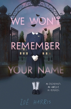 Hardcover We Won't Remember Your Name Book