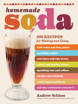 Paperback Homemade Soda Book