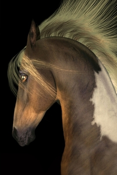 My Black Journal Horse Pocket-Sized