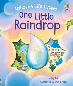 Board book One Little Raindrop Book