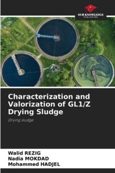 Paperback Characterization and Valorization of GL1/Z Drying Sludge Book