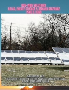 Paperback Non-Wire Solutions: Solar, Energy Storage & Demand Response Pros & Cons Book