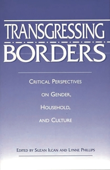 Paperback Transgressing Borders: Critical Perspectives on Gender, Household, and Culture Book