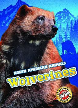 Wolverines - Book  of the North American Animals