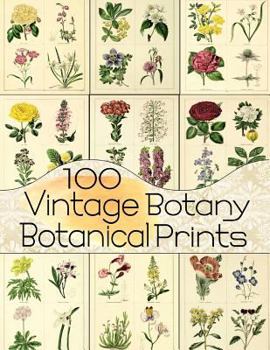 Paperback 100 Vintage Botany Botanical Prints Book