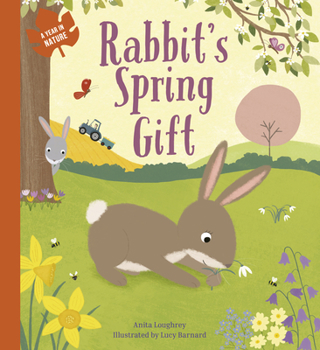 Library Binding Rabbit's Spring Gift Book