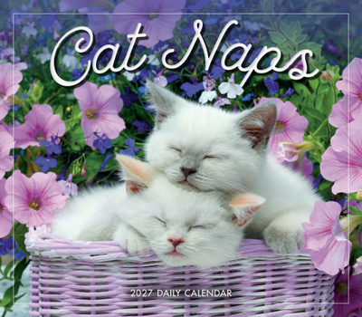 Paper Catalog Cat Naps Book