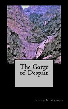 Paperback The Gorge of Despair Book