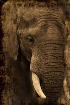 African Elephant Portrait Journal : 150 Page Lined Notebook/diary