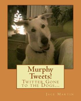 Murphy Tweets!: Twitter Gone to the Dogs...