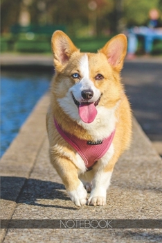 Notebook: Cute heterochromia corgi dog [110 pages]: Cute heterochromia corgi dog