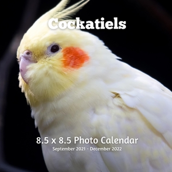 Paperback Cockatiels 8.5 X 8.5 Calendar September 2021 -December 2022: Monthly Calendar with U.S./UK/ Canadian/Christian/Jewish/Muslim Holidays-Bird Animal Nature Book