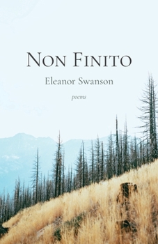 Paperback Non Finito Book