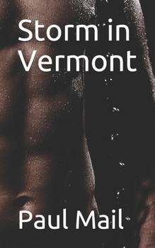 Paperback Storm in Vermont Book
