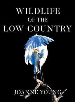 Hardcover Wildlife of the Low Country [Large Print] Book