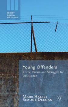 Hardcover Young Offenders: Crime, Prison and Struggles for Desistance Book