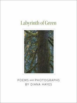 Paperback Labyrinth of Green Book