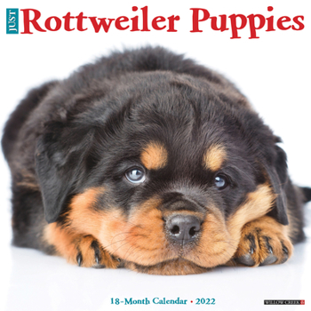 Calendar Just Rottweiler Puppies 2022 Wall Calendar (Dog Breed) Book