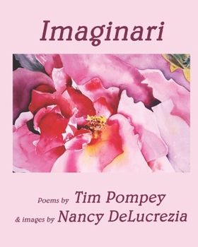 Paperback Imaginari Book