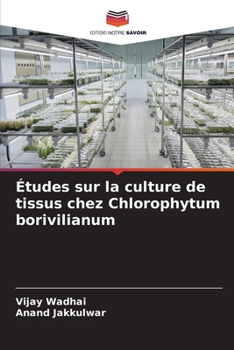 Paperback Études sur la culture de tissus chez Chlorophytum borivilianum [French] Book