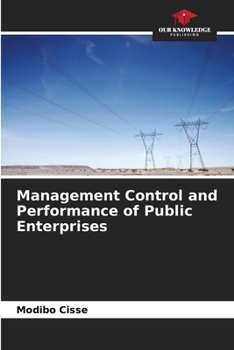 Management Control and Performance of Public Enterprises