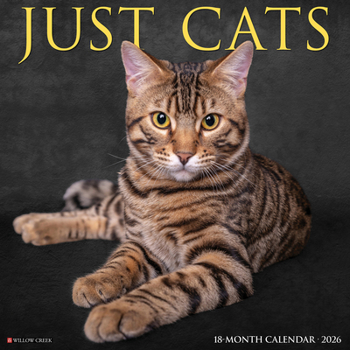2026 Cats 12 x 12 Wall book by Willow Creek Press