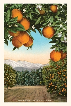 Paperback The Vintage Journal Orange Grove with Mountains in Background Book