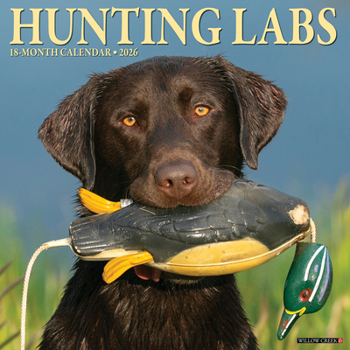 Calendar Hunting Labs 2026 12 X 12 Wall Calendar Book