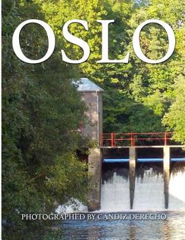 Paperback Oslo (English Version) Book