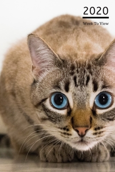 2020 A5 Diary Week To View Planner For All Occasions: | Year Planner For Business, Office, Home, University, College, School, Appointments, Organizer.