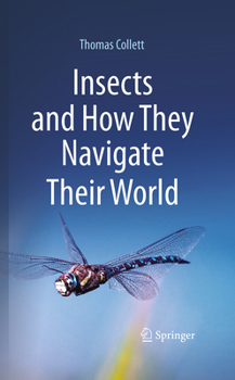 Hardcover Insects and How They Navigate Their World Book