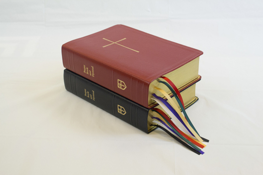 Leather Bound The Book of Common Prayer and Hymnal 1982 Combination: Red Leather Book