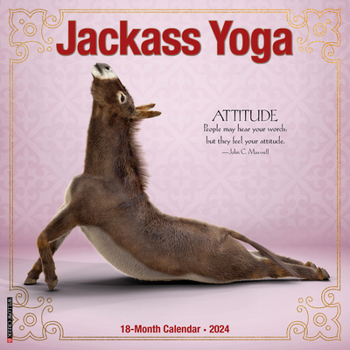 Calendar Jackass Yoga 2024 12 X 12 Wall Calendar Book