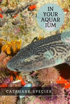 Catshark Species: іn Your Aquarium