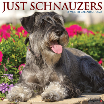 Calendar Just Schnauzers 2022 Wall Calendar (Dog Breed) Book