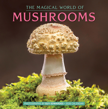 Calendar The Magical World of Mushrooms Wall Calendar 2026 Book