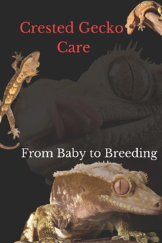 Crested Gecko Care: From Baby to Breeding