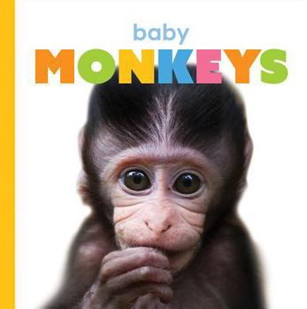 Library Binding Baby Monkeys Book